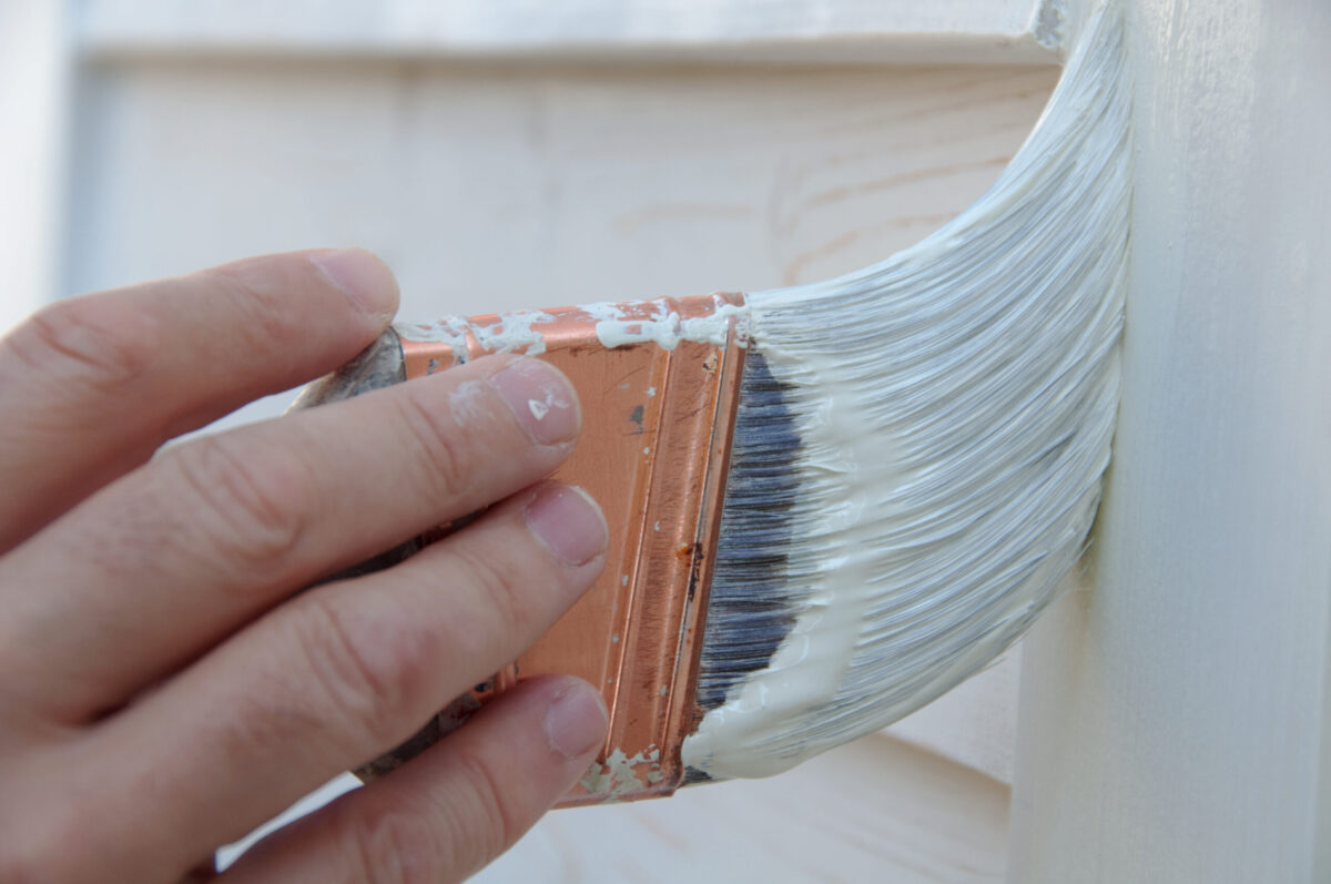 Hand Holding Bristle Paintbrush
