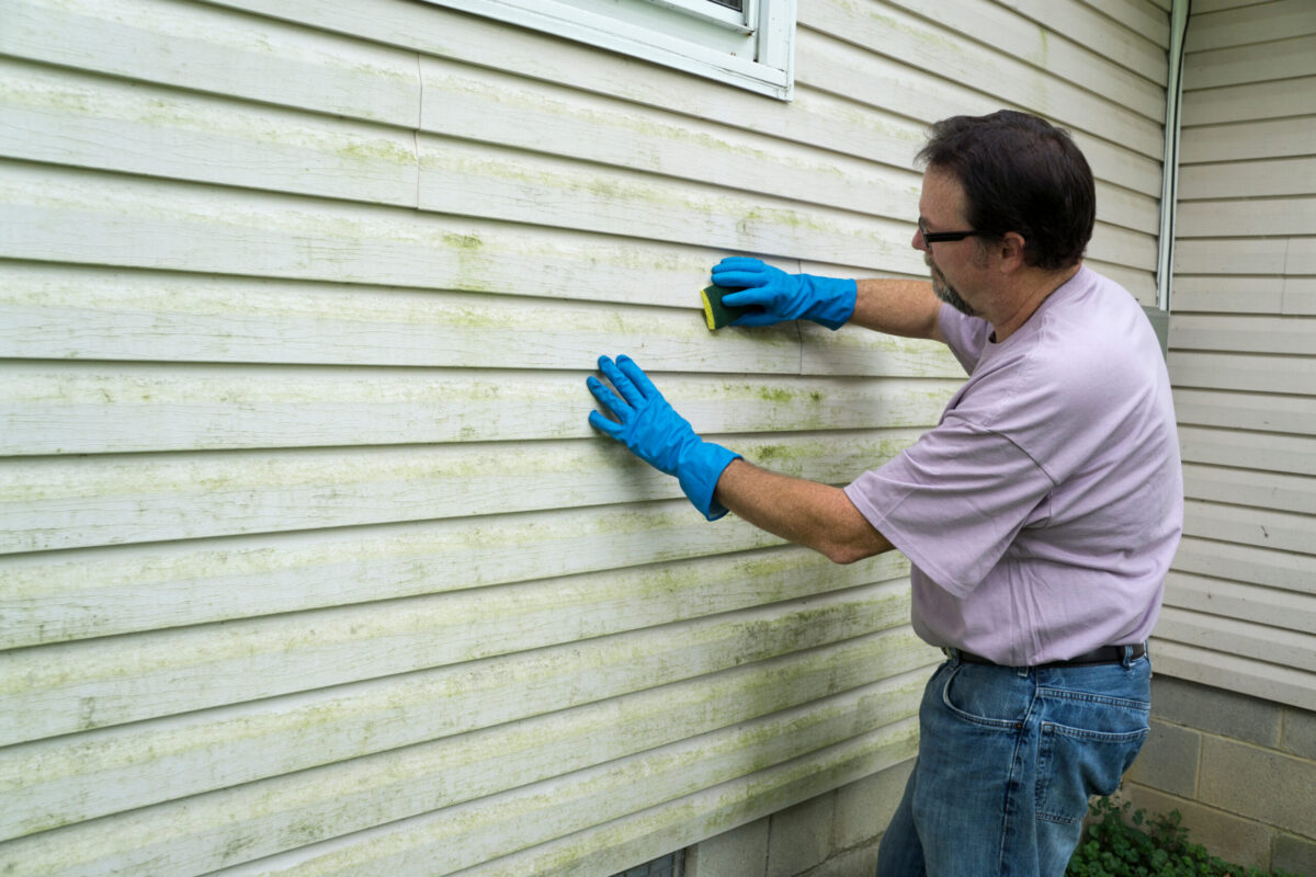 Contractor cleaning algae and mold from vinyl siding of a customers home. how to clean vinyl siding