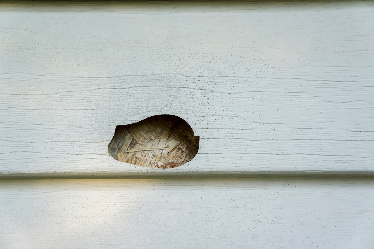 Hail and mold siding damage on the side of a house with vinyl siding.