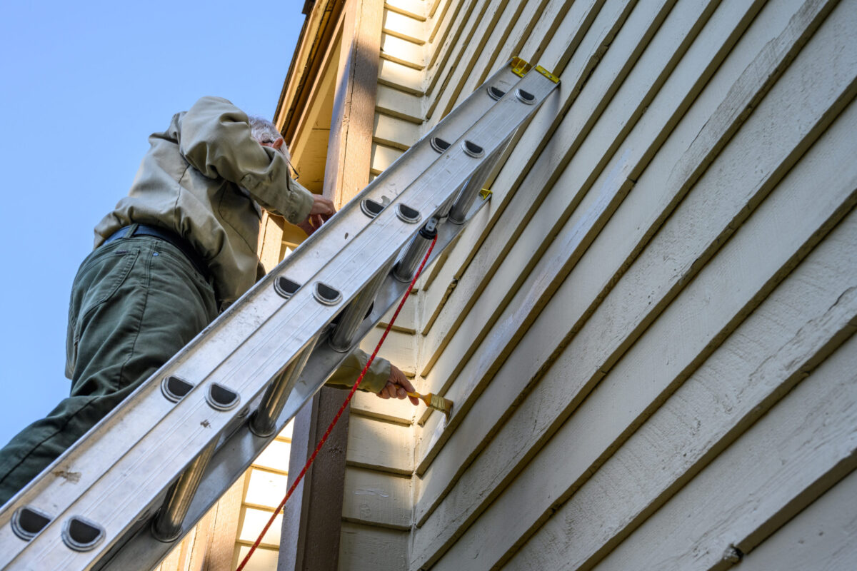 ladder painting home siding repair cost