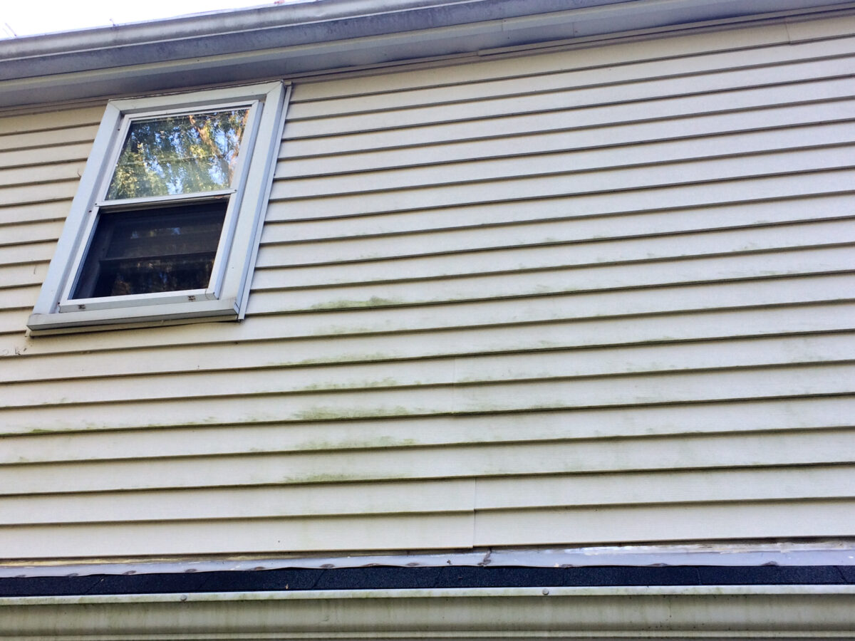 window with moldy on vinyl siding on house siding damage